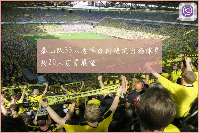 泰山队33人名单分析稳定出场球员约20人前景展望