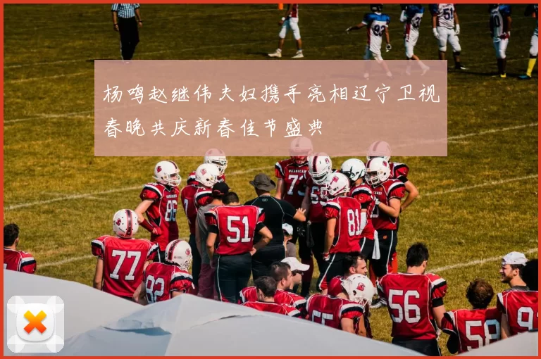 杨鸣赵继伟夫妇携手亮相辽宁卫视春晚共庆新春佳节盛典